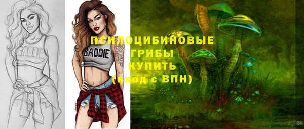 прущий лед Осинники