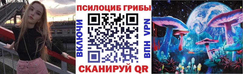 где найти   маркетплейс Telegram  Псилоцибиновые грибы Cubensis  Алдан 