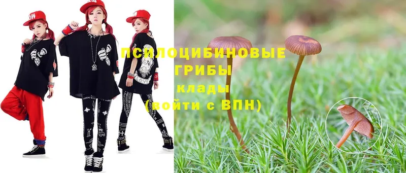 mega вход  Алдан  Галлюциногенные грибы GOLDEN TEACHER 